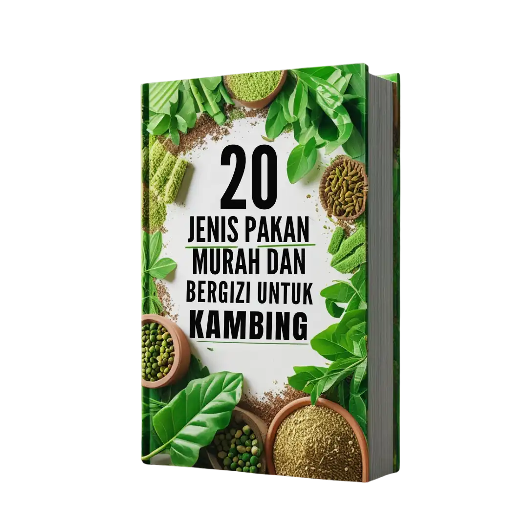 28 (1)