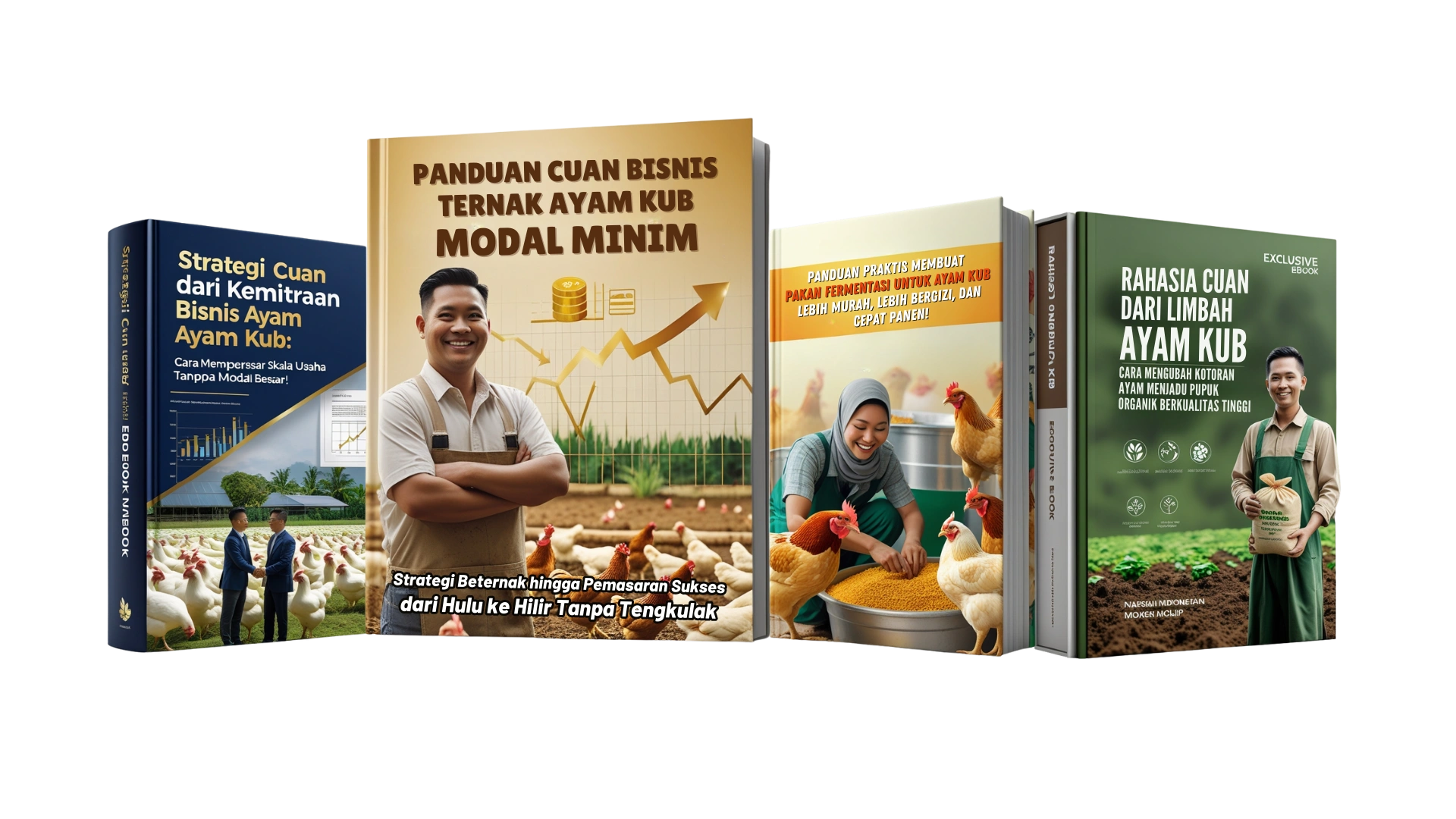 TERNAK AYAM KUB MODAL MINIM